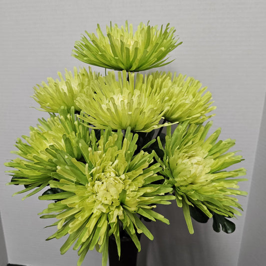 172095GRN - 24" Fuji Mum Bush