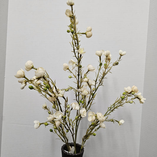 Wax Flower 34.5"