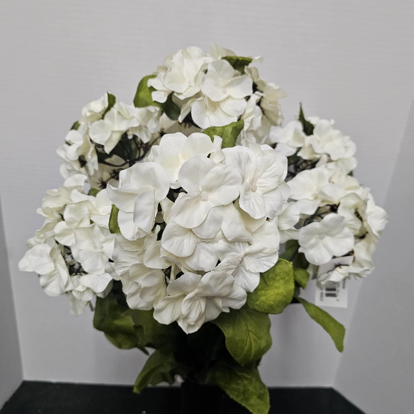 Satin Hydrangea Bush