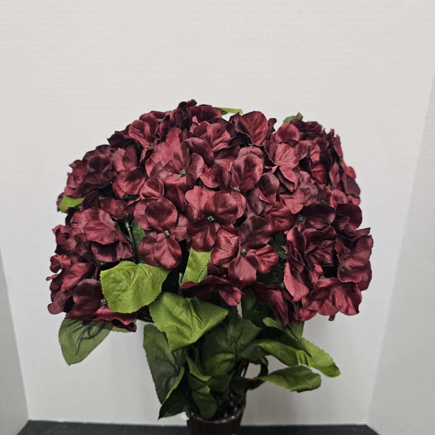 Satin Hydrangea Bush