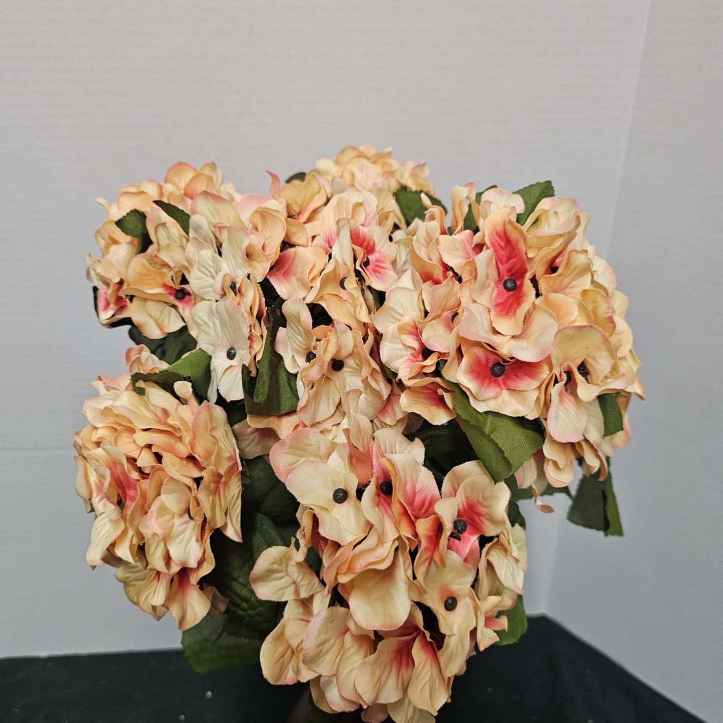 Satin Hydrangea Bush
