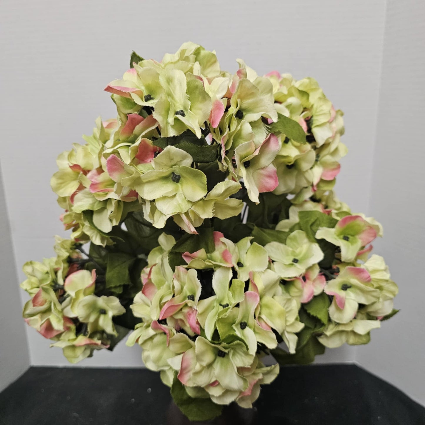 Satin Hydrangea Bush