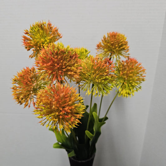 172102ORYW - 20" Onion Ball Bush