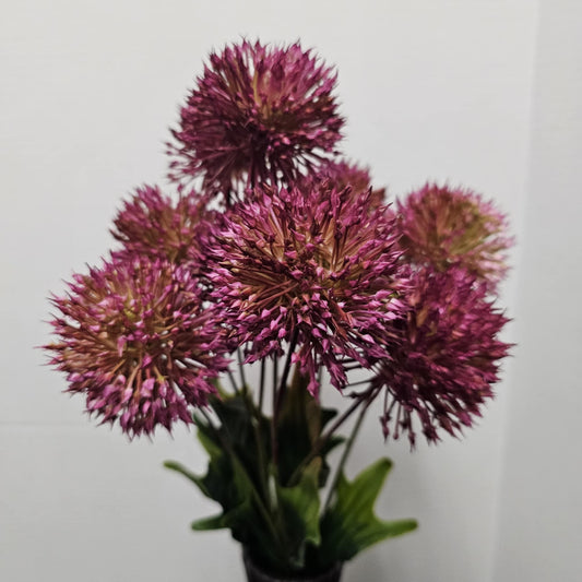 172102LILAC - 20" Onion Ball Bush