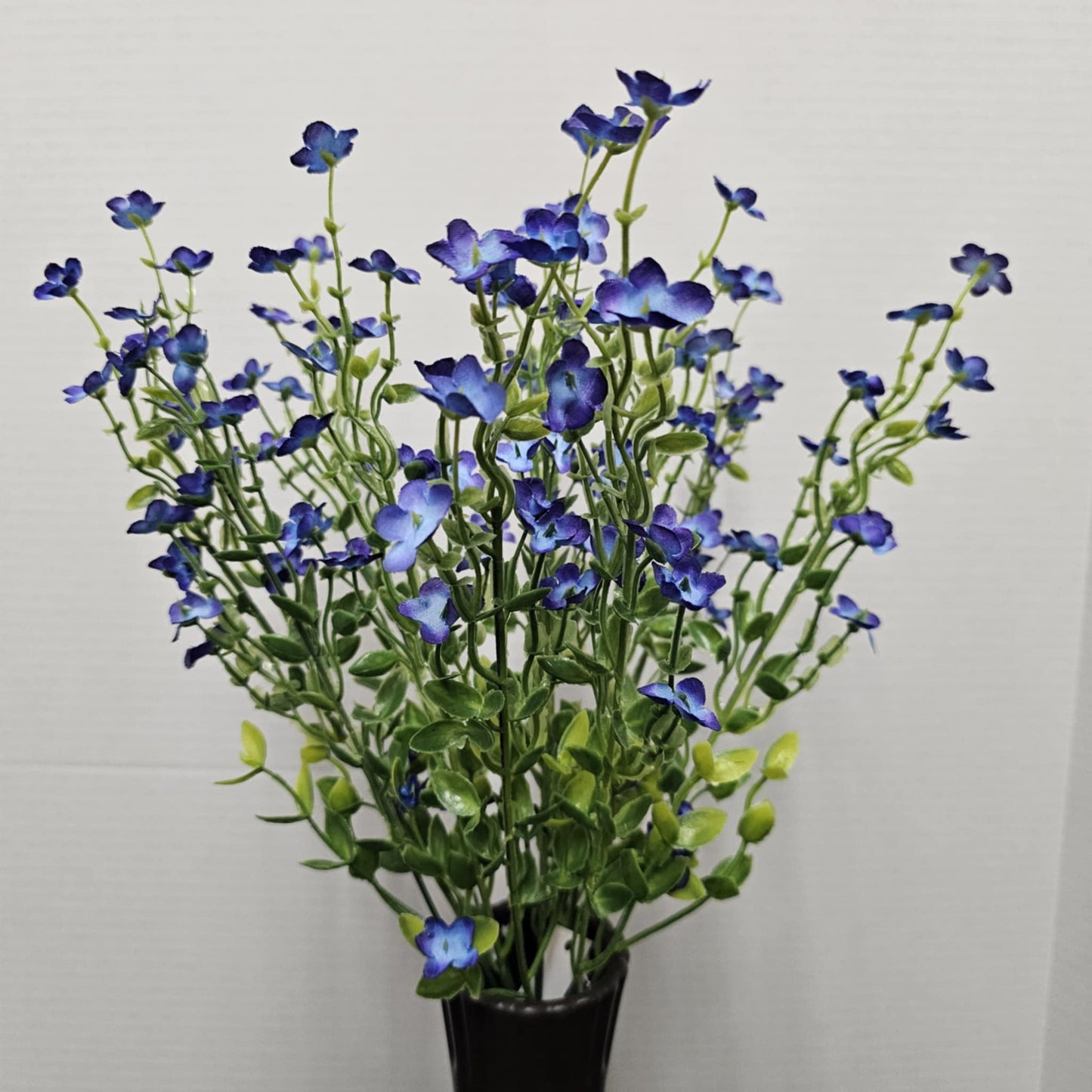 17.5" Mixed Forget Me Not