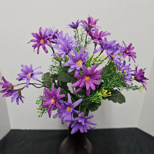 B20500 PU/LV - Common Daisy