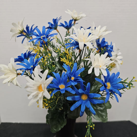 Common Daisy