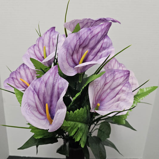 Calla Lily Bush