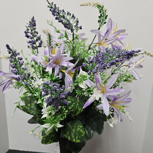 Foxtail Bush