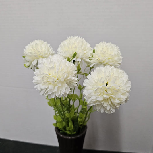 B24511-CRM - Chrysanthemum