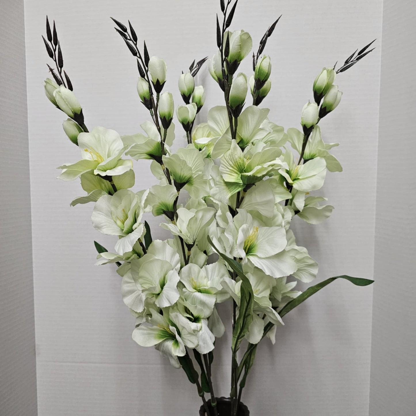 Large Gladiola Bush