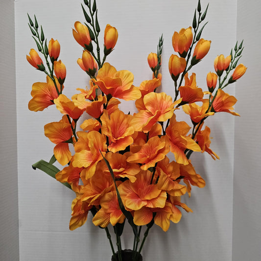 46569-OR - Large Gladiola Bush