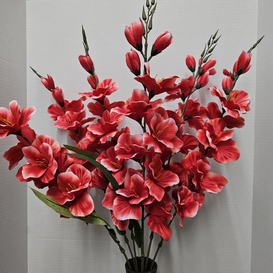 46569-BTY - Large Gladiola Bush