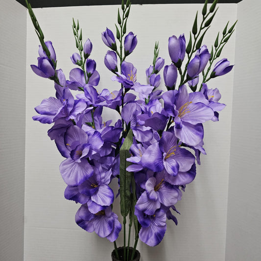 46569-PUR - Large Gladiola Bush