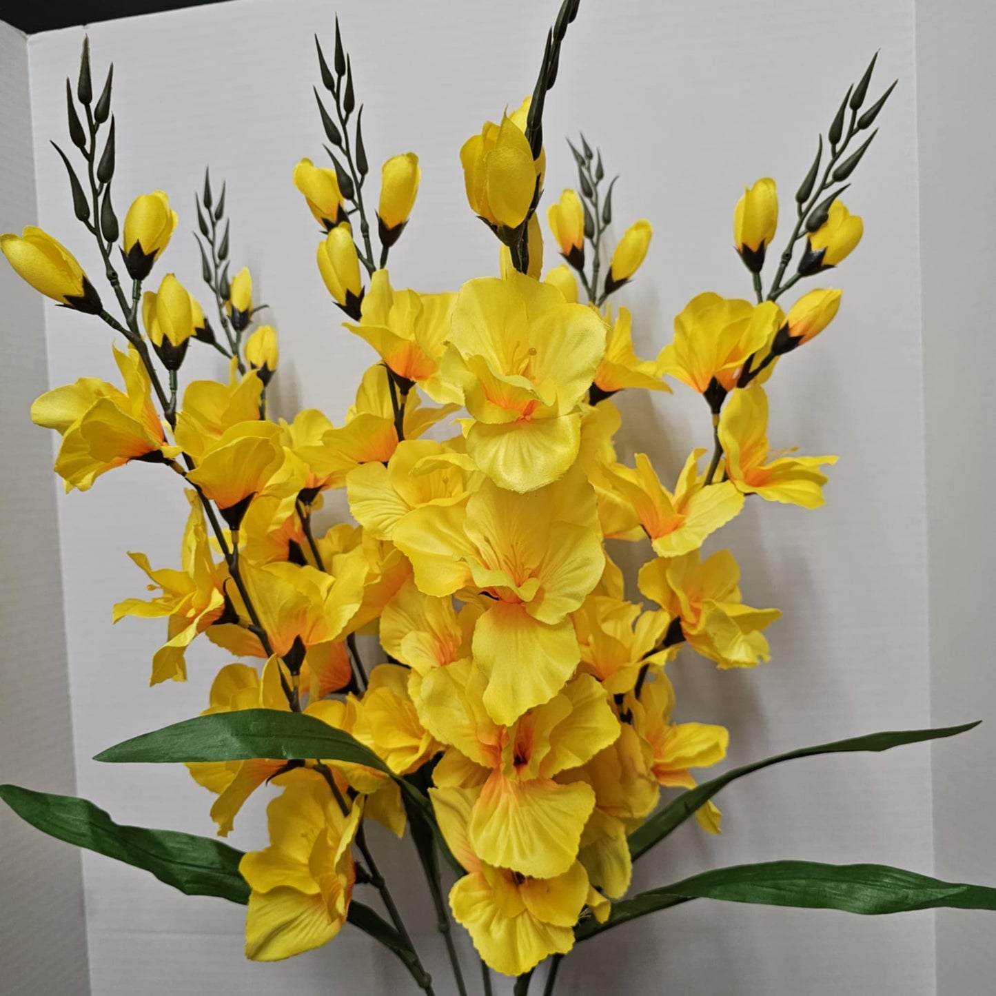 Large Gladiola Bush