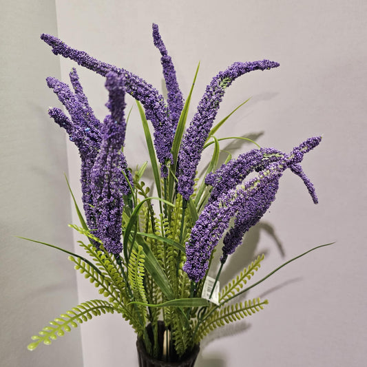 Veronica Spike