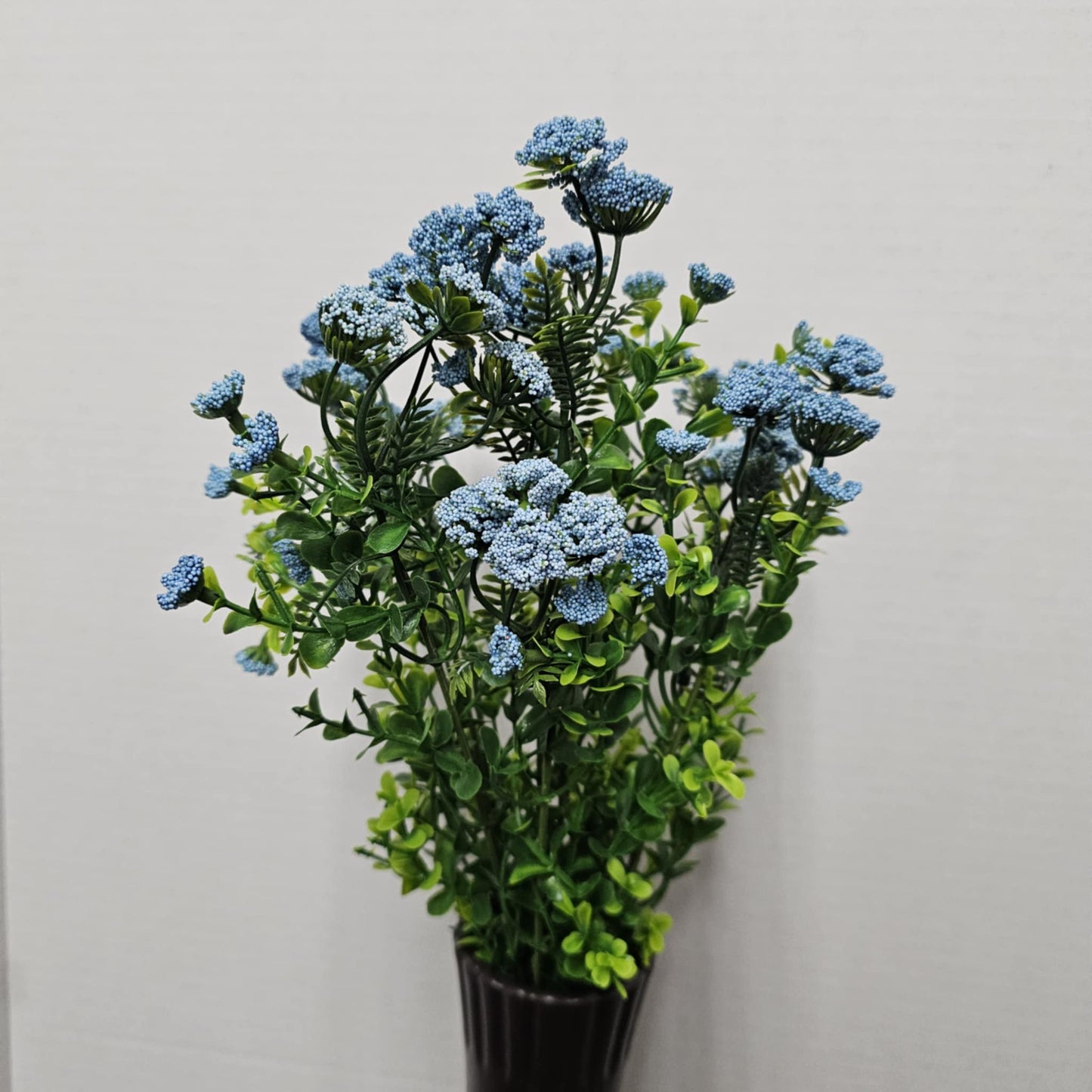 19" Queen Ann Lace Bush
