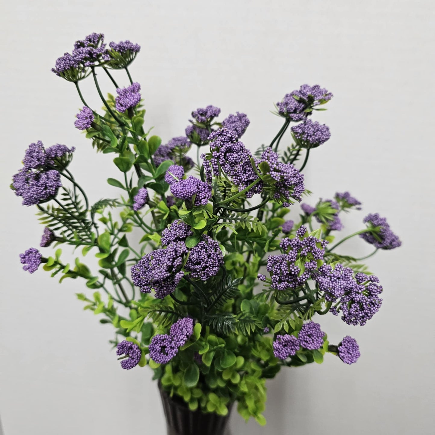 19" Queen Ann Lace Bush
