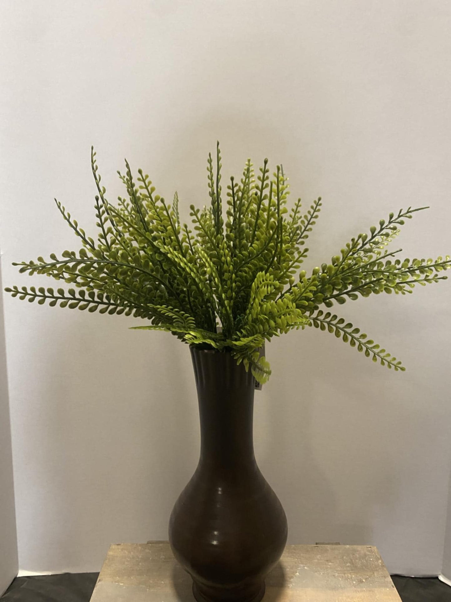 18" Boxwood Bush