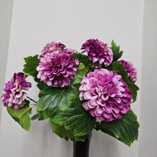 19" Dahlia  Bush