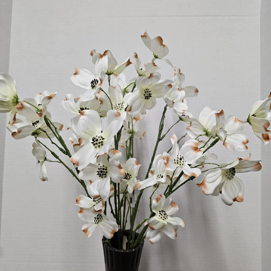 22" Dogwood Bush