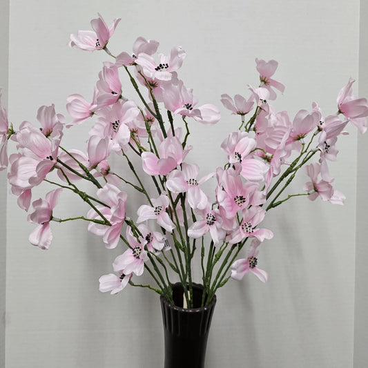 22" Dogwood Bush