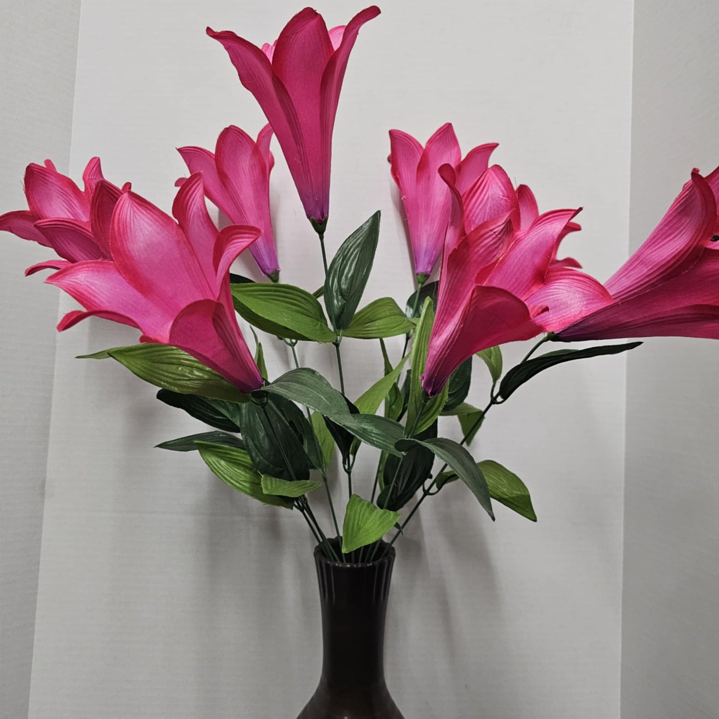 Color Fast Trumpet Lily Bush