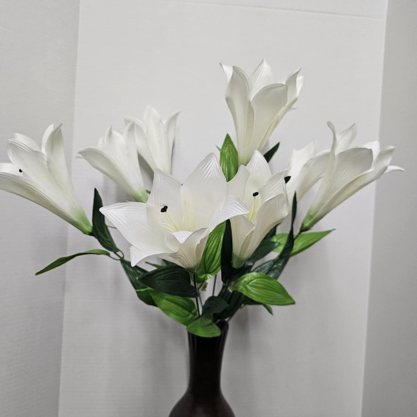 Color Fast Trumpet Lily Bush