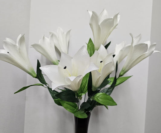 30441-CM - Color Fast Trumpet Lily Bush
