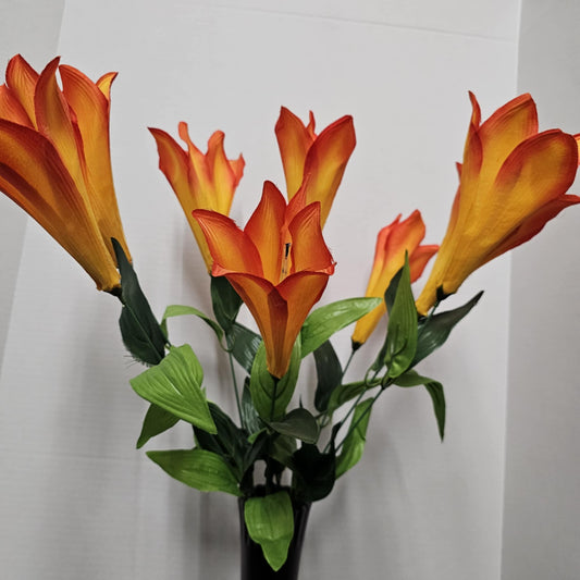 30441-OR - Color Fast Trumpet Lily Bush