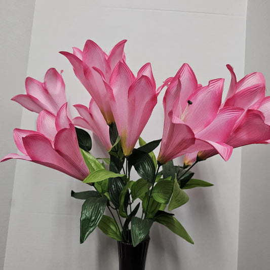 30441-PK - Color Fast Trumpet Lily Bush