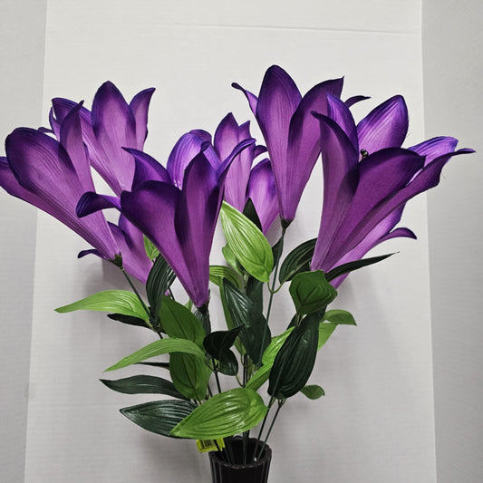 30441-PU - Color Fast Trumpet Lily Bush