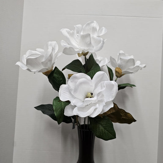 22" Magnolia Bush