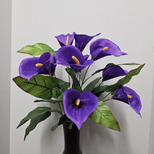 Calla Lily Bush