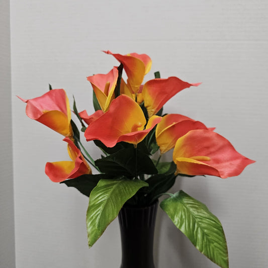 Calla Lily Bush