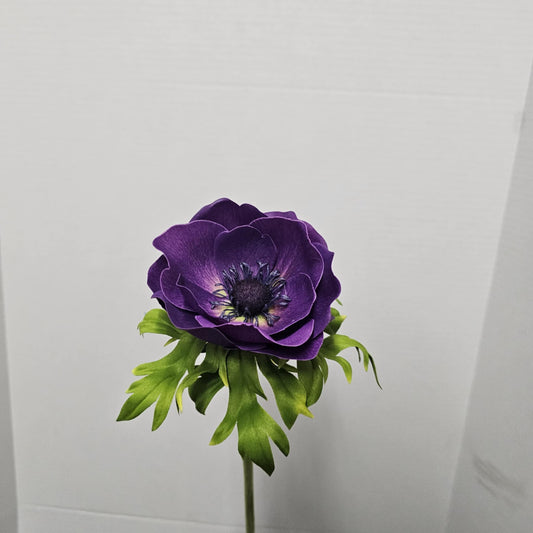 Anenome