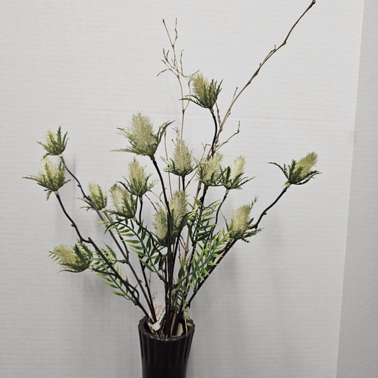 Pussy Willow Bundle