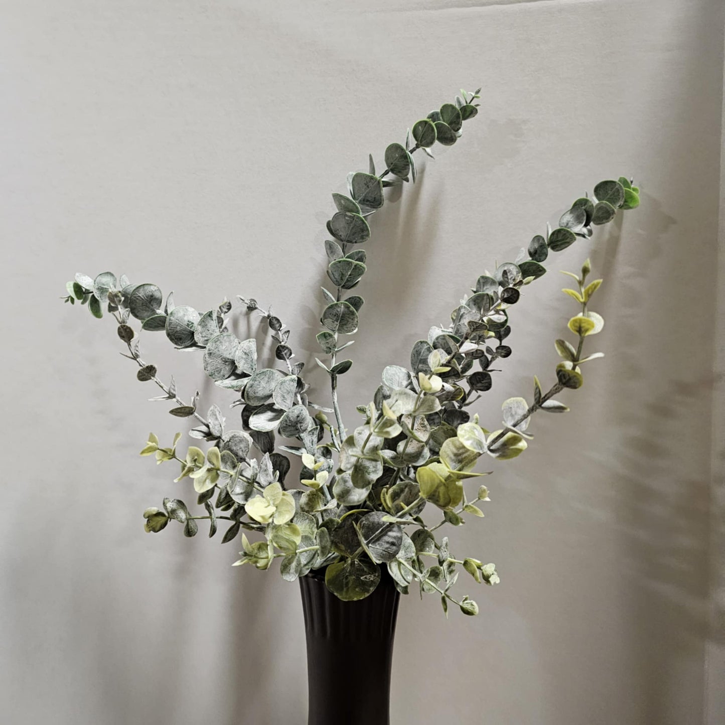 23" Eucalyptus Bush