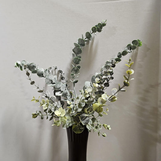 23" Eucalyptus Bush
