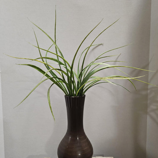 Onion Grass Bush