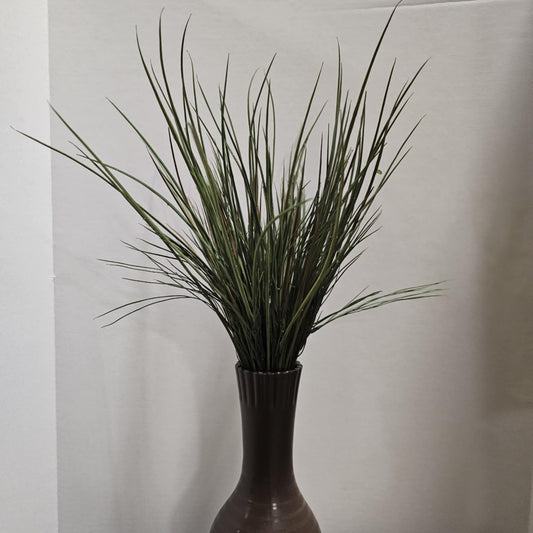 River Grass