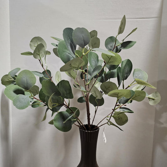 22" Silver Dollar Eucalyptus Bush