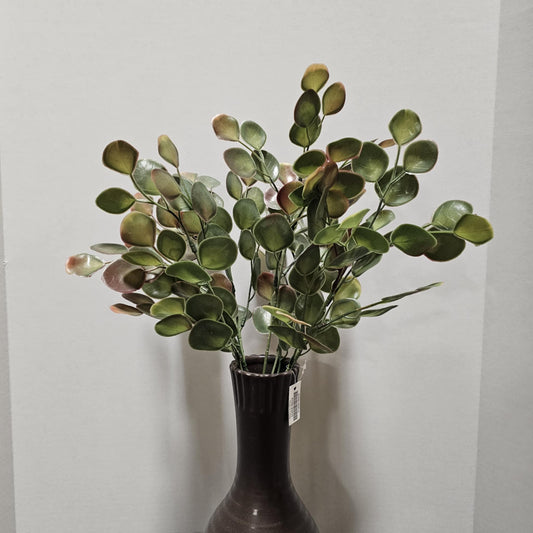 20" Eucalyptus Bush