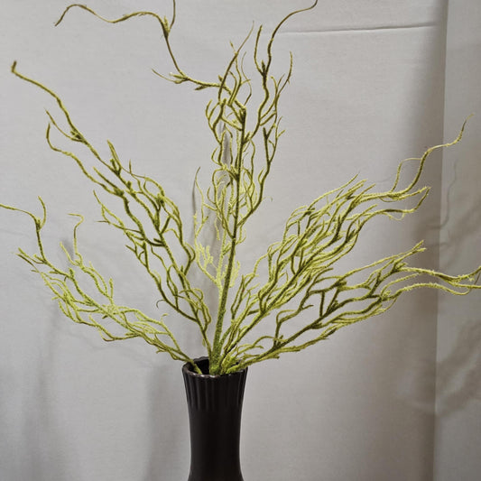 Coral Bush