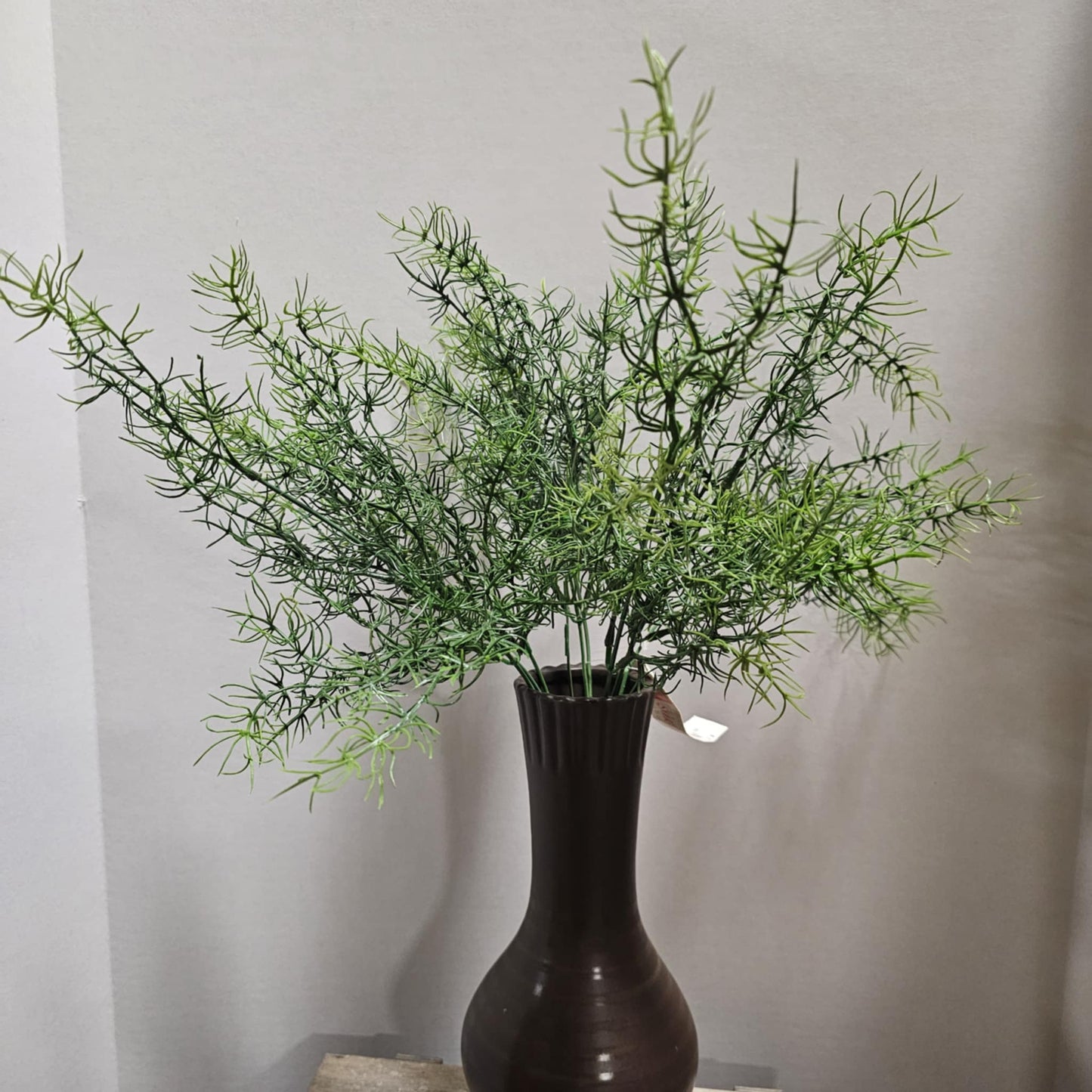 Springeri Bush