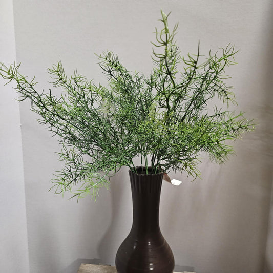 Springeri Bush