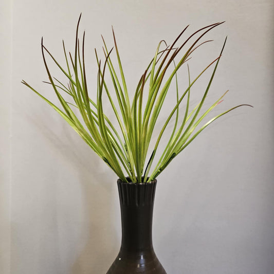 Grass Bush #43872