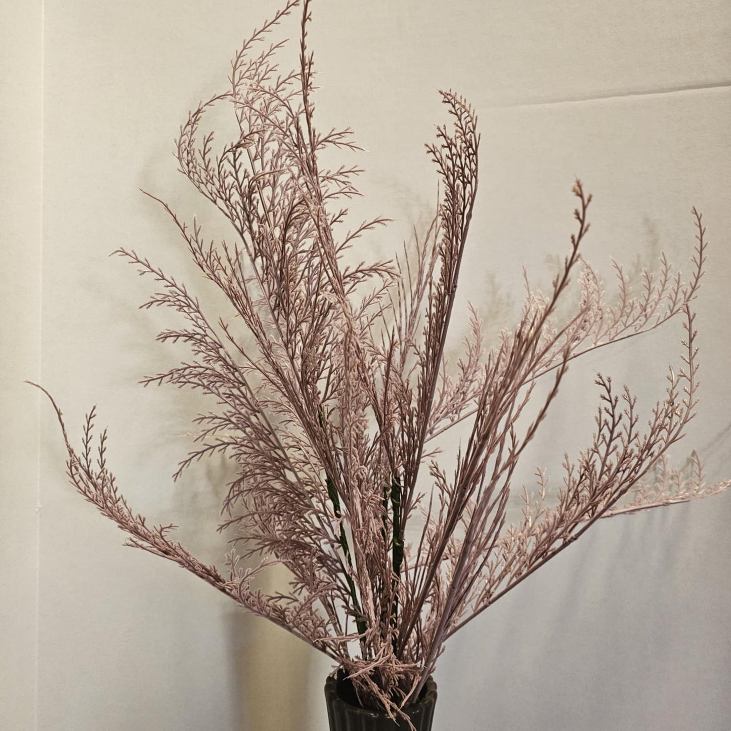29" Phoenix Tail Fern