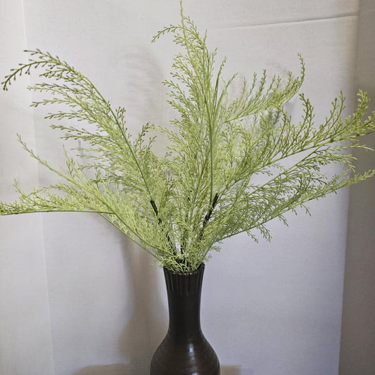 29" Phoenix Tail Fern