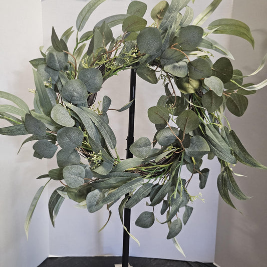 2" Willow Eucalyptus
